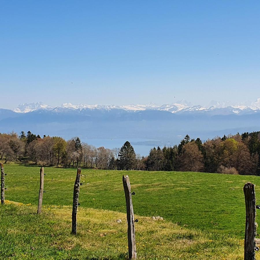 Residence Entre Monts Et Lac Nyon Exterior photo