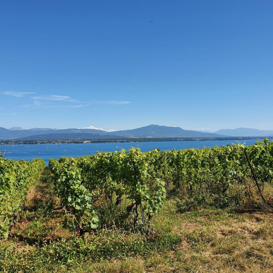 Residence Entre Monts Et Lac Nyon Exterior photo